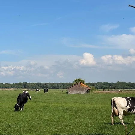 Zon Zee En Duin Egmond Strandhuisje شقة إغموند آن زي