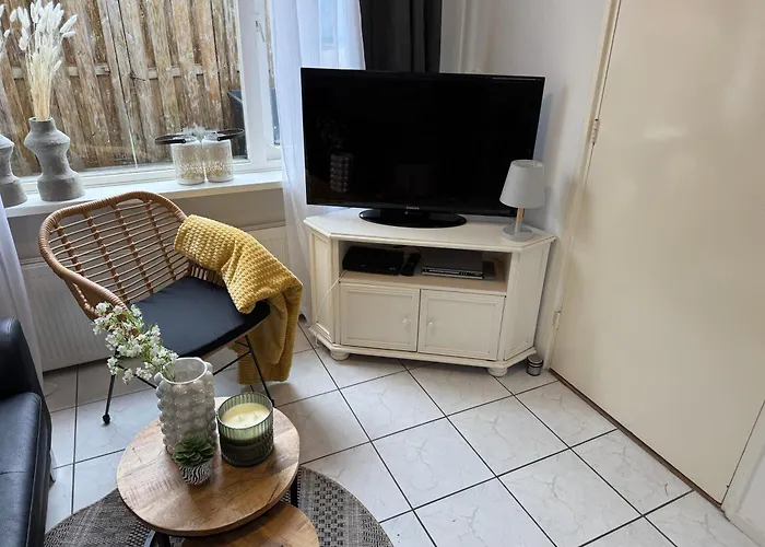 Zon Zee En Duin Egmond Strandhuisje דירה אגמונד אן זי