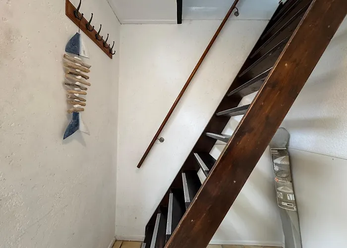 Zon Zee En Duin Egmond Strandhuisje *