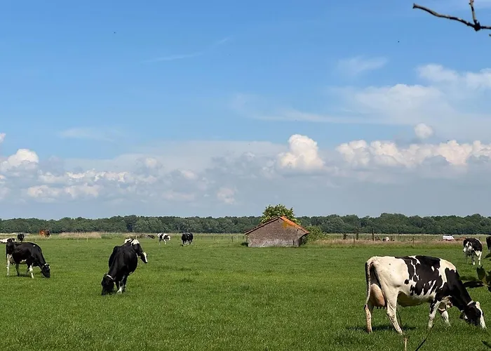 Zon Zee En Duin Egmond Strandhuisje דירה אגמונד אן זי