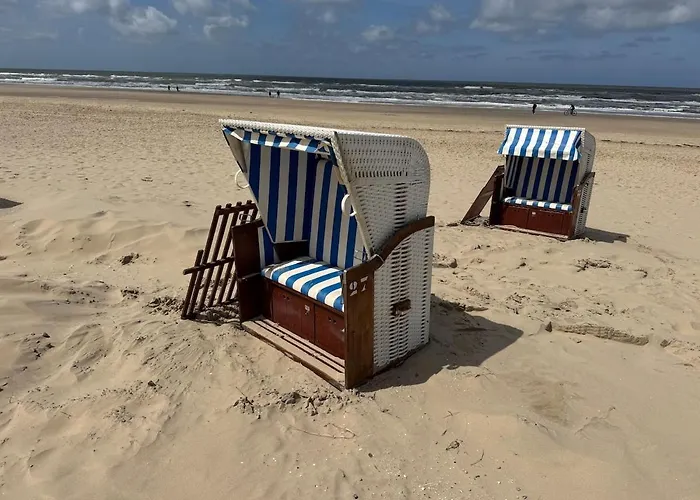 Zon Zee En Duin Egmond Strandhuisje אגמונד אן זי