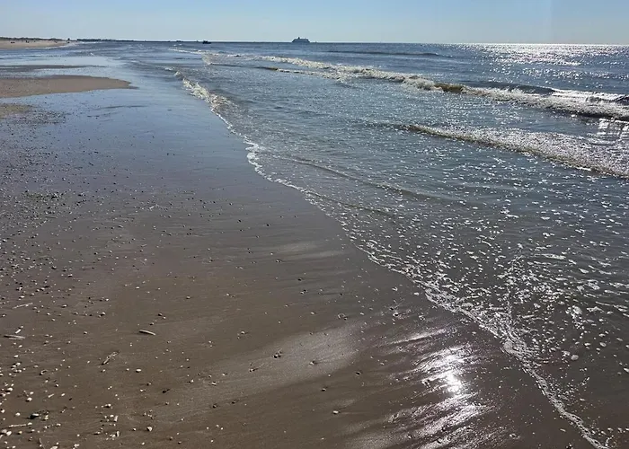 Zon Zee En Duin Egmond Strandhuisje דירה